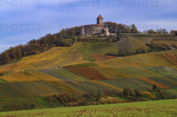 Lichtenberg Castle, Oberstenfeld, Bottwartal, Löwensteiner Mountains, vineyard, vines, viticulture, graphic, autumn colors, autumn, Baden-Württemberg, Germany