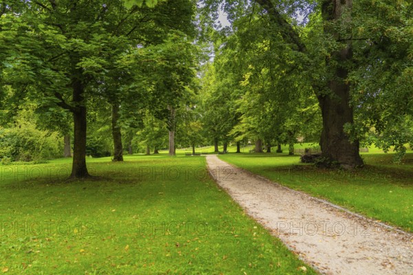 A quiet trail leads through a green park, lined with large, old trees, ZFP Zwiefalten, Reutlingen district, Germany