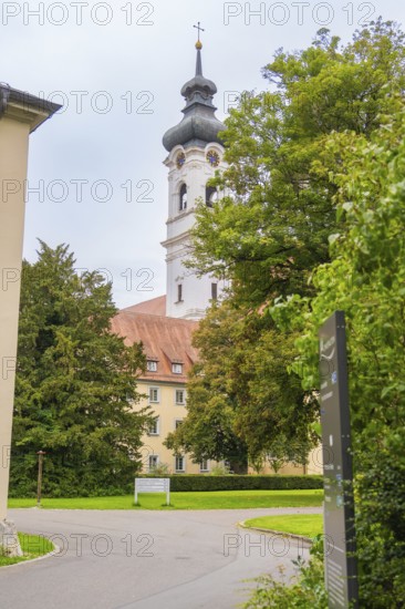 Baroque church tower behind trees and building complex in a green landscape, ZFP Zwiefalten, Reutlingen district, Germany