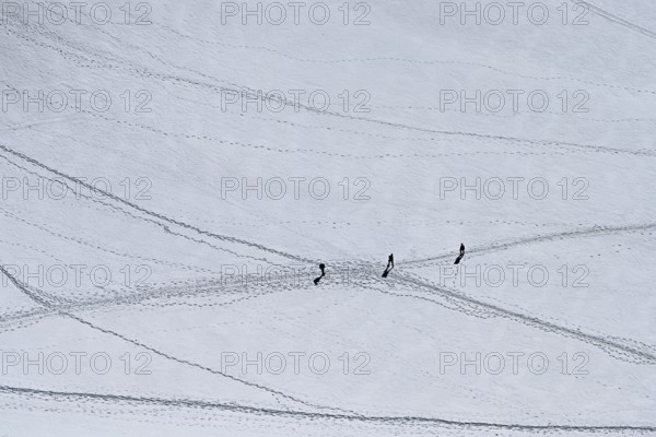 A group of mountaineers runs across a snow-covered mountain, Aiguille du Midi, Chamonix-Mont-Blanc, Haute-Savoie, France