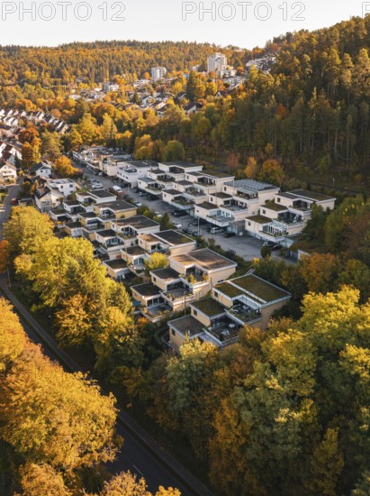 Bird's-eye view of houses in the middle of an autumn forest, Nagold, Black Forest, Germany