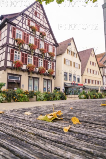 Traditional half-timbered houses with flower boxes and autumn leaves on a wooden bench in an old town, Nagold, Black Forest, Germany
