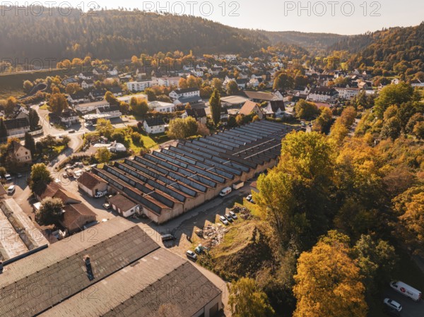 City view with hills and autumn trees, residential areas in the foreground, Nagold, Black Forest, Germany