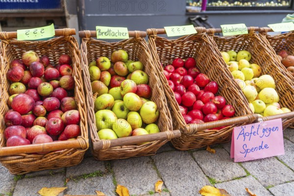Apples in different colors in wicker baskets offered for donations at a street market, Streuobstmarkt, Sindelfingen, Böblingen district, Germany