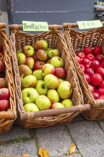 Baskets with various types of apples on display at a market, Streuobstmarkt, Sindelfingen, Böblingen district, Germany