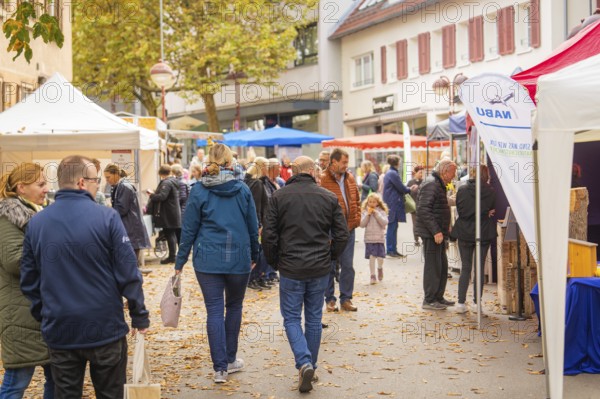 Families visit a lively market with a festive atmosphere and autumn decorations, traditional fruit market, Sindelfingen, Böblingen district, Germany