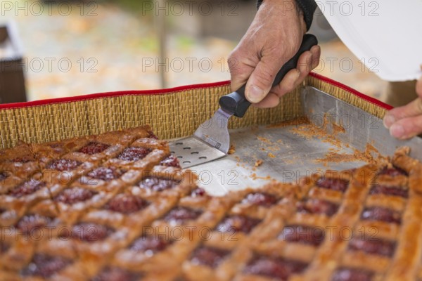 Hand cut a raspberry pastry with a scraper on a baking tray, Streuobstmarkt, Sindelfingen, Böblingen district, Germany