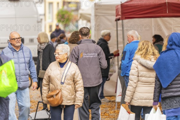 People wearing autumn clothes visit a market while the ground is covered with leaves, Streuobstmarkt, Sindelfingen, Böblingen district, Germany