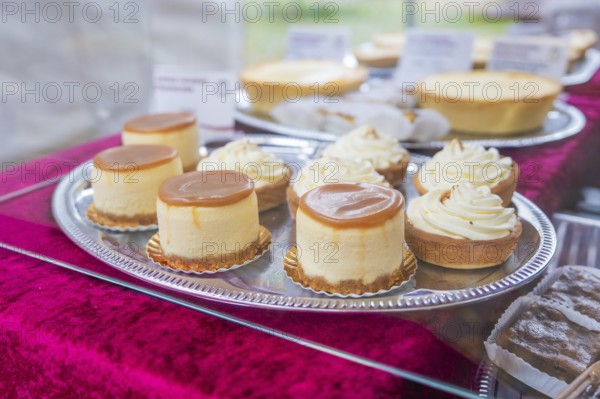 Various small desserts on a silver plate on a sales table, Streuobstmarkt, Sindelfingen, Böblingen district, Germany