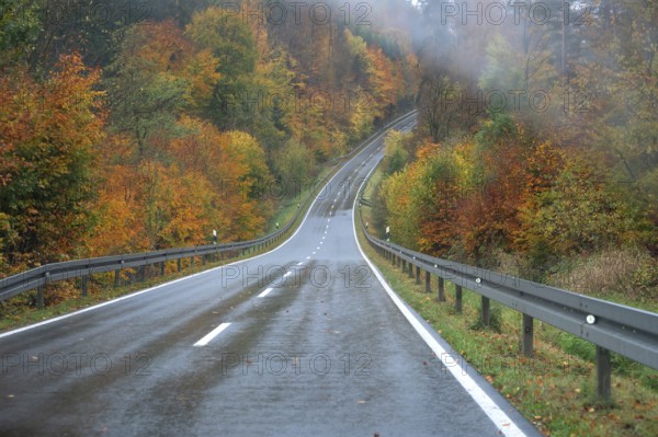 Mixed forest in autumn colors in Franconia on the B2 Nuremberg-Bayreuth, Upper Franconia, Bavaria, Germany