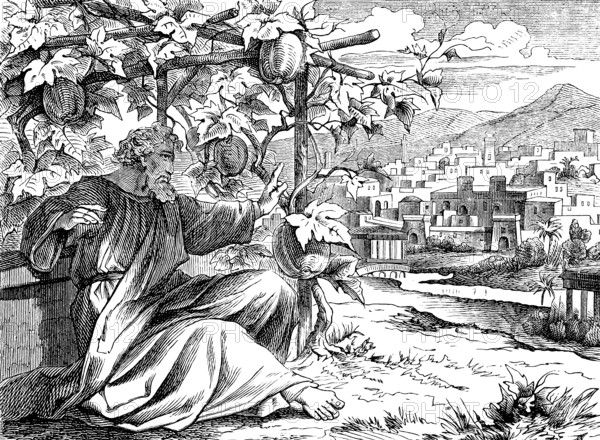 Jonah in front of his pumpkin hut at Nineveh, The Prophet Jonah, chapter 3, cityscape, mountains, river, hut, hillside, pumpkins, sitting, God, Old Testament, Bible, historical illustration 1877