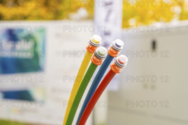 Four colored fiber optic cables against a blurred autumn background, optical fiber