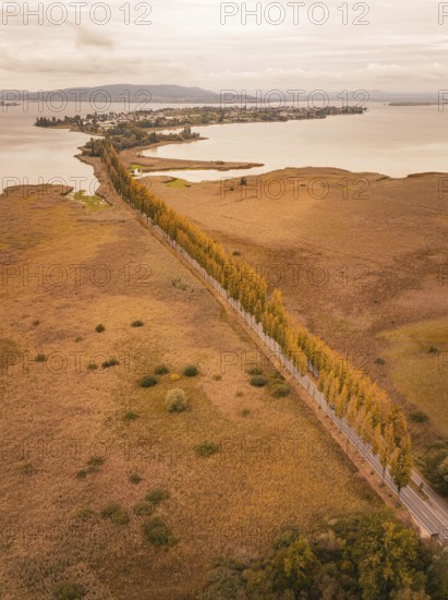 Autumn road with colorful trees in a wide lake landscape, Lindau, Lake Constance, Germany