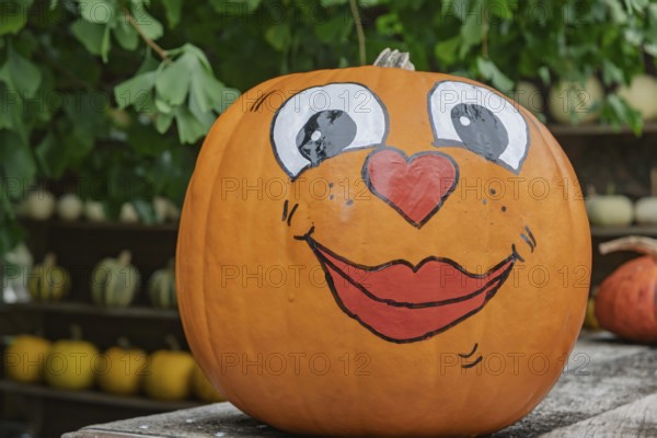 Painted pumpkin with happy face, Münsterland, North Rhine-Westphalia, Germany