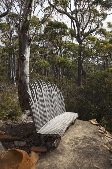 Quiet rest on a bench along the hiking trail near Cape Raoul Tasmania