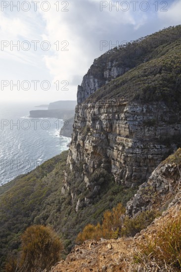 View of Shipstern Bluff. Cape Raoul, Tasman Peninsula, Tasmania, Australia