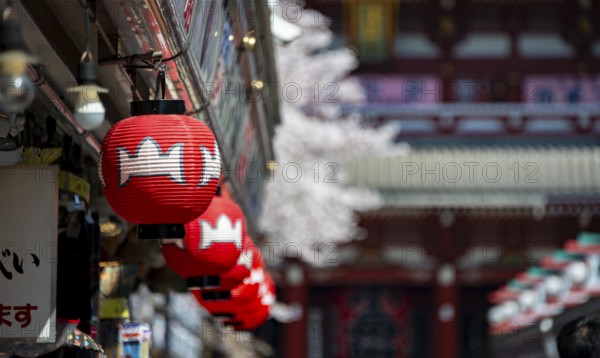 Red lanterns on Nakamise-dori shopping street, in the back the Hozomon Gate of Asakusa Shrine or Senso-ji Temple, Buddhist Temple Complex, Asakusa, Tokyo, Japan