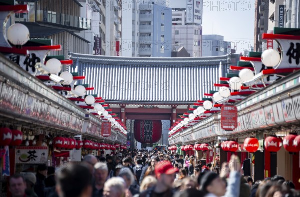 View of numerous visitors on Nakamise-dori shopping street at the Thunder Gate Kaminarimon of Asakusa Shrine or Senso-ji Temple, blooming cherry trees, Buddhist temple complex, Asakusa, Tokyo, Japan
