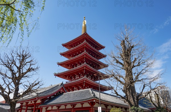 Five-story pagoda, Buddhist temple complex, Asakusa shrine or Senso-ji temple, Asakusa, Tokyo, Japan
