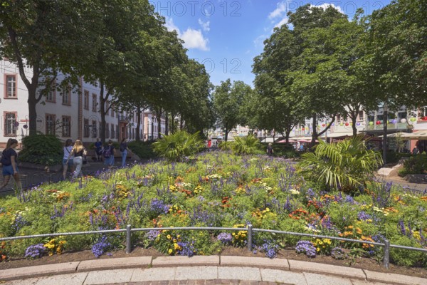 Garden area, flower bed, trees, general architecture, pedestrians as a secondary motif, blue sky, cumulus clouds, Schillerplatz, Mainz, state capital, district-free city, Rhineland-Palatinate, Germany