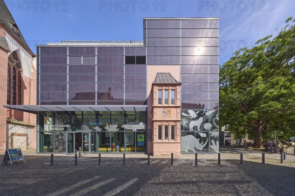 Mainz Natural History Museum, Gutenberg Museum, Museum of Printing and Writing, Modern Architecture, Glass Façade, Covered Entrance Area, Barrier, Paving Street, Trees, Blue Sky, Cirrostratus Clouds, Reichklarastraße, Mainz, State Capital, Independent City, Rhineland-Palatinate, Germany