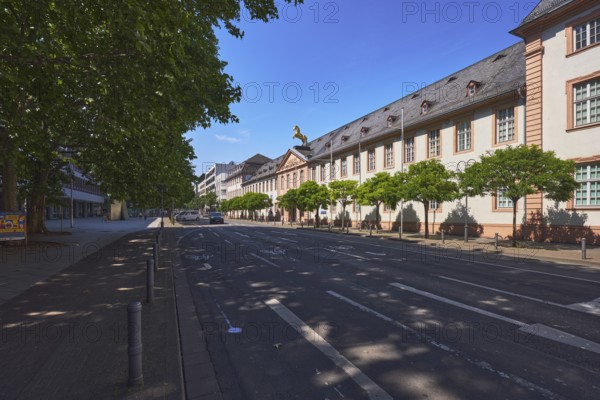 Mainz State Museum, Art Museum, Cultural History Museum, Golden-Ross Barracks, Marstall, Historic Buildings, Gable Roof Covered with Slate, Barrier Bollards, Traffic Lanes, Trees, Shadows, Blue Sky, Cloudless, Street Große Bleiche, Mainz, State Capital, County-Free City, Rhineland-Palatinate, Germany