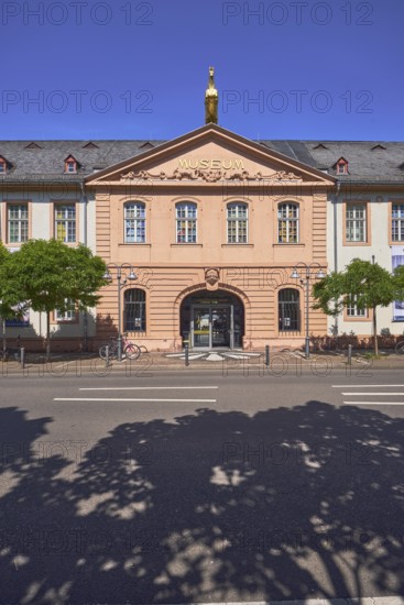 Mainz State Museum, Museum of Cultural History, Art Museum, Golden Ross Barracks, Historic Building, Marstall, gable roof covered with slate, entrance area, windows, dormers, Baroque and Classicism architectural style, barrier bollards, trees, blue sky, cloudless, street Große Bleiche, Mainz, state capital, district-free city, Rhineland-Palatinate, Germany