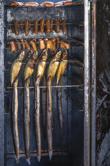 Different types of fish in a smoker, Ahrenshoop, Darß, Mecklenburg-Western Pomerania, Germany