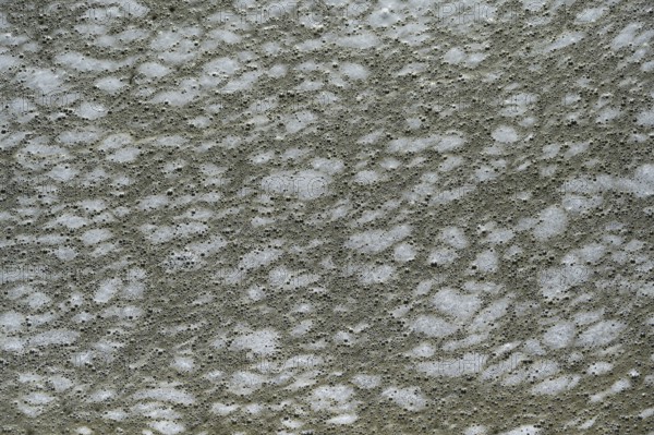 Structure of pollution in the port of Ahrenshoop, Darß, Baltic Sea, Mecklenburg-Western Pomerania, Germany