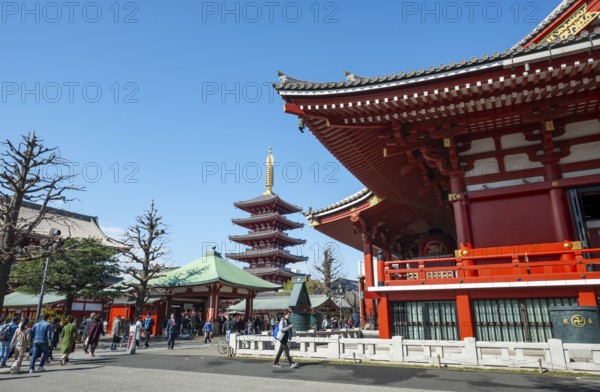 Buddhist temple complex with five-story pagoda, Asakusa shrine or Senso-ji temple, Asakusa, Tokyo, Japan
