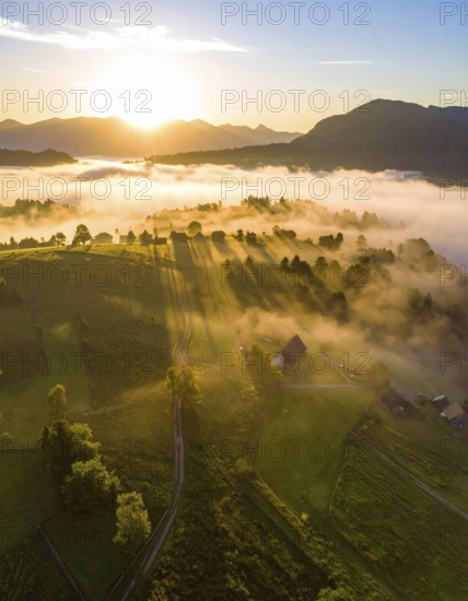 Sunrise over a fog covered village in a rural landscape, golden morning light, serene autumn atmosphere, hills and mountains in the background, AI generated