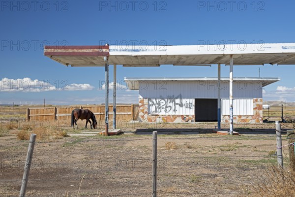 Lyman, Wyoming - A horse fills up at an abandoned gas station in southwestern Wyoming