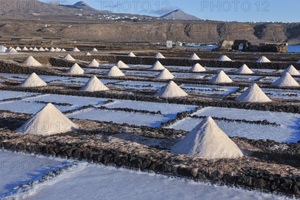 Small conical mounds of sea salt in historic saline for salt production Las Salinas de Janubio, Yaiza, Lanzarote, Canary Islands, Spain