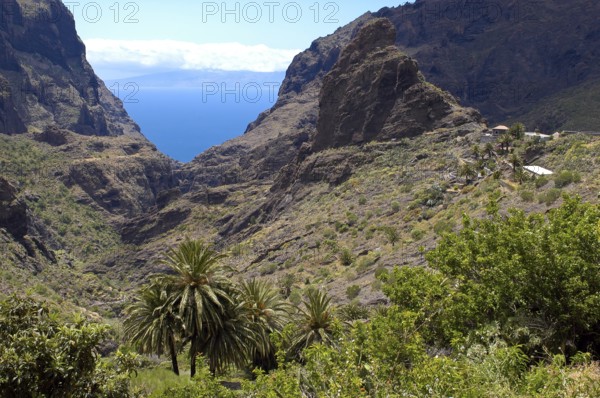 Sea view view through Masca Gorge to sea Atlantic East Atlantic Ocean, in the background Canary Island of La Gomera, Tenerife, Canary Islands, Spain