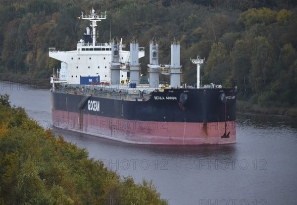 Freighter BETUAL ARROW sails in autumn in the Kiel Canal, NOK, Kiel Canal, Kiel Canal, Schleswig-Holstein, Germany