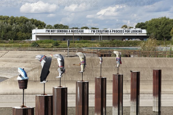 Art installation What If They Bark, fish sculptures by conceptual artist Cosima von Bonin, Urbane Künste Ruhr, Duisburg, North Rhine-Westphalia, Germany