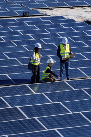 Engineers and technicians inspecting solar panels on a large solar farm, collaborating and discussing renewable energy production data for sustainable power generation