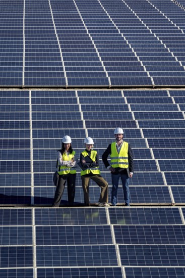 Engineers team on expansive solar farm inspecting panels and planning clean energy projects, collaborating on sustainable infrastructure and large scale photovoltaic power development