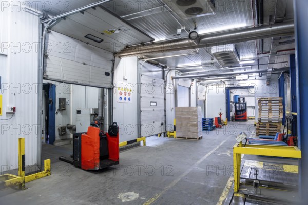 Industrial cold storage facility featuring multiple loading docks with pallet jacks and forklifts, efficiently managing frozen goods distribution and supply chain logistics
