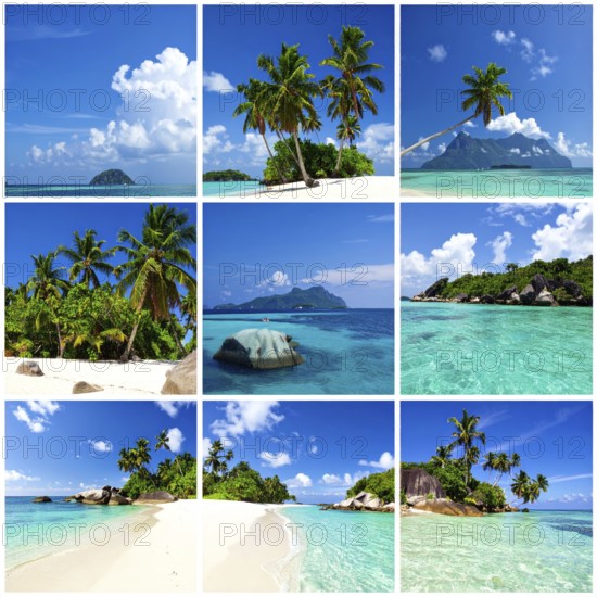 Collage of tropical islands with beach and palm trees, paradise with blue cloudy sky, turquoise water, green plant, sandy shore, wallpaper illustration, template or banner for ecology, sustainability, landscape and travel, AI generated