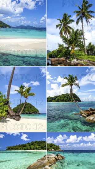Collage of tropical islands with beach and palm trees, paradise with blue cloudy sky, turquoise water, green plant, sandy shore, wallpaper illustration, template or banner for ecology, sustainability, landscape and travel, AI generated