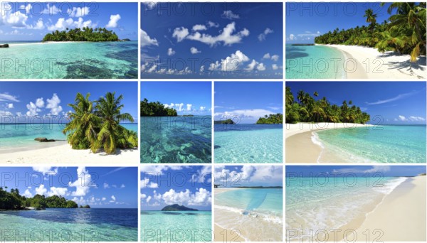Collage of tropical islands with beach and palm trees, paradise with blue cloudy sky, turquoise water, green plant, sandy shore, wallpaper illustration, template or banner for ecology, sustainability, landscape and travel, AI generated