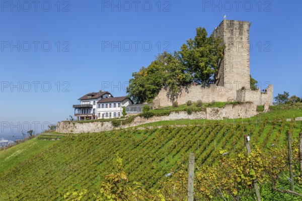 Windeck Castle, Bühl, Black Forest, Baden-Württemberg, Germany, Bühl, Baden-Württemberg, Germany