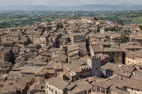 View over the rooftops of Siena, Tuscany, Italy