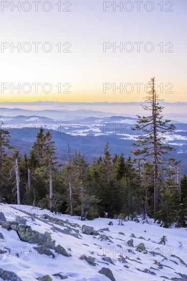 View from Mount Lusen over the hills of the bavarian forest at sunrise in winter, Bavaria, Germany