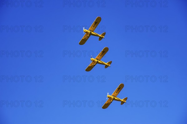Three Piper PA-18 Super Cub aircraft from the Bravo Lima Formation flying group in formation flight during a flight demonstration at the Rossfeld Air Sports Club Air Sports Association on Rossfeld in Metzingen-Glems, Baden-Württemberg, Germany, for editorial use only