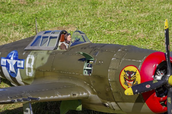An RC model of a Republic P-47 Thunderbolt during a demonstration as part of an air show at the Fliegerbergfest of the Rossfeld Luftsportverein in Metzingen-Glems, Baden-Württemberg, Germany, for editorial use only