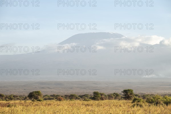 African savanna and summit of Mount Kilimanjaro, in the evening light, Kajiado County, Kenya