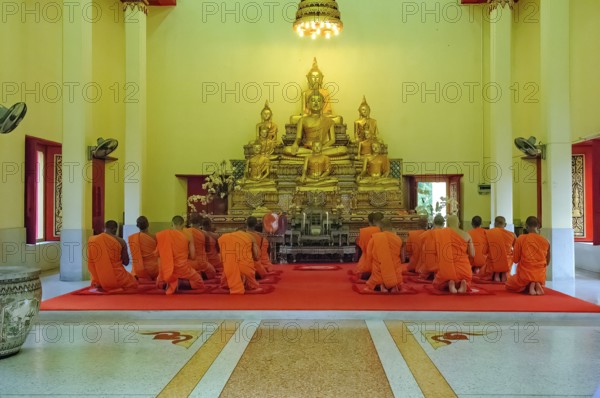 Buddhist monks in the prayer hall pray while praying in front of golden statues of Buddha in temple, Wat Chalong, Wat Chaithararam, Phuket province, Phuket island, Thailand