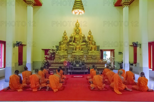 Buddhist monks in prayer hall pray while praying in front of golden statues of Buddha in temple, Wat Chalong, Wat Chaithararam, Phuket province, Phuket island, Thailand
